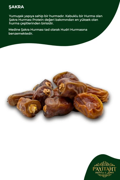 payitaht hurma Medine Şakra Hurması 24 Paket Tadımlık 100GR Yeni Mahsul Yüksek Protein Değerli Yumuşak Yapılı Set - 3