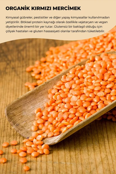 payitaht hurma KIRMIZI MERCİMEK - 2,5KG - 2