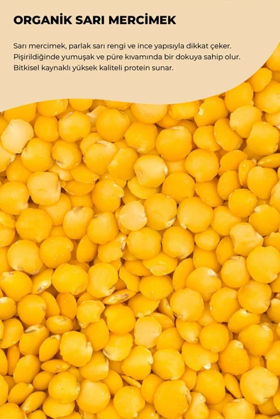 payitaht hurma SARI MERCİMEK 500GR - 2