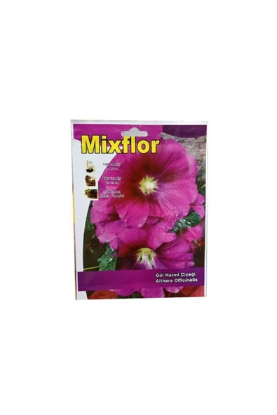 Mixflor Gül Hatmi Tohumu