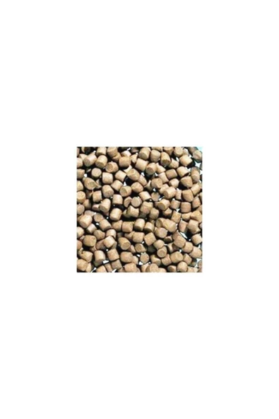 TROPİKAL Dip Yemi 1 Kg (6 Mm) - 2