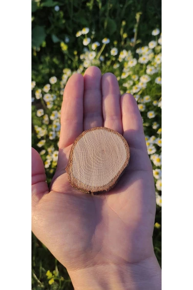 doğaldepo Ahşap Rune Hobi Boyama Hediyelik Kütük Dilimi 3-5 cm 50 adet - 3