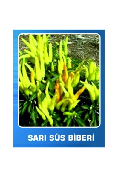 Tropical Sarı Süs Biberi Tohumu 100 Adet