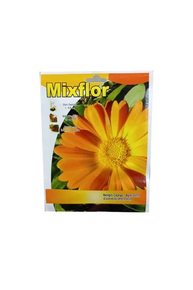 canlipetshop Mixflor Çiçek Tohumu Nergis Çiçeği