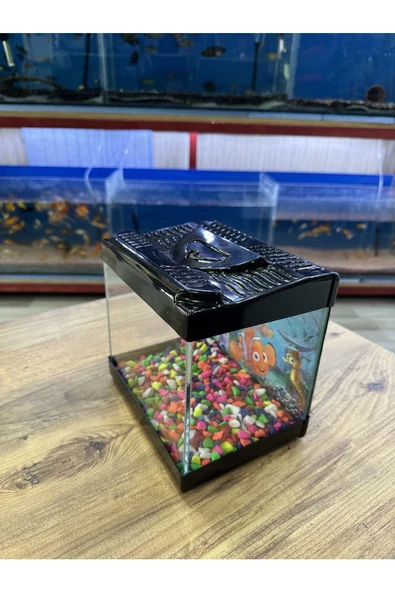 ErtargınShop Siyah Renkli Kare Mini Akvaryum 20x20x15 - 2