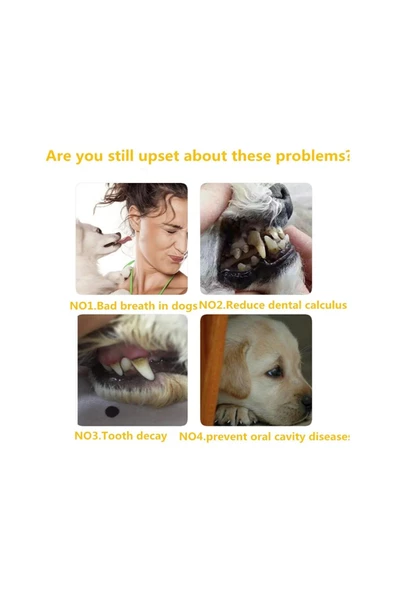 canlipetshop Kedi Köpek Diş Fırçası ve Diş Macunu Seti Yenilebilir Diş Macunu Dental Kit Ağız ve Diş Sağlık Seti - 3