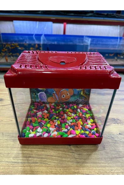 ErtargınShop Kırmızı Renkli Kare Mini Akvaryum 20x20x15 - 3