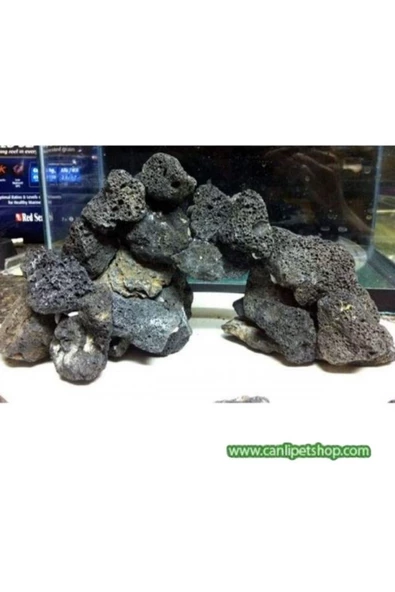 canlipetshop Dekoratif Doğal Lav Kaya Siyah (10x10) 10 ADET - 2