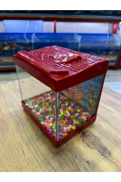 ErtargınShop Kırmızı Renkli Kare Mini Akvaryum 20x20x15 - 2