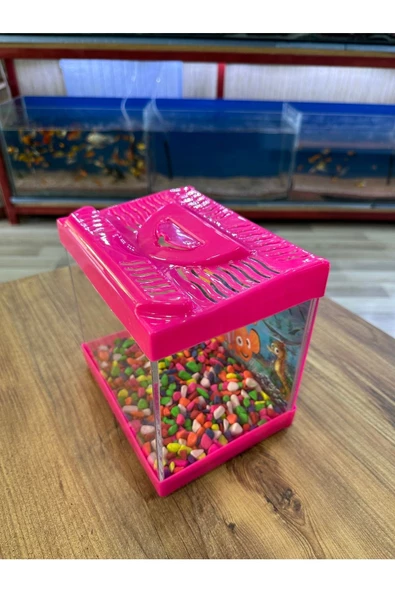 ErtargınShop Pembe Renkli Mini Kare Akvaryum 20x20x15 Deniz Kabugu Hediyeli Karışık Renkte Gönderilir - 3