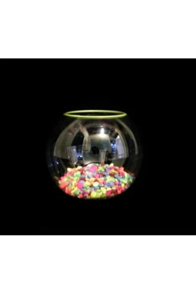 Ans Dekoratif Plastik Fanus Küçük Boy - 2