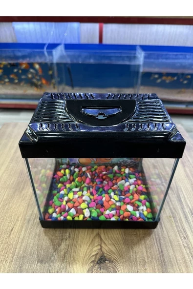 ErtargınShop Siyah Renkli Kare Mini Akvaryum 20x20x15 - 3