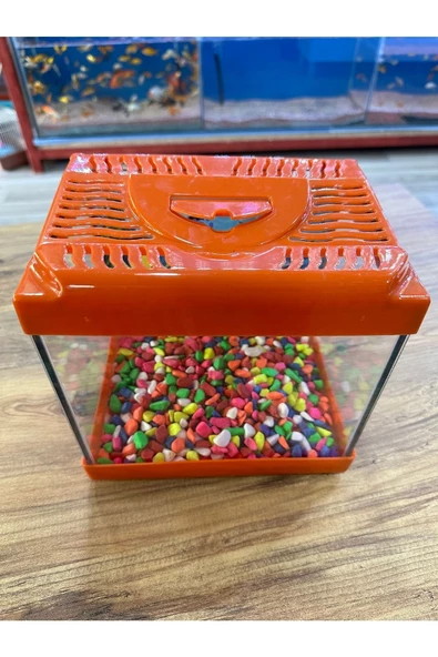ErtargınShop Turuncu Renkli Mini Kare Akvaryum 20x20x15 - 3