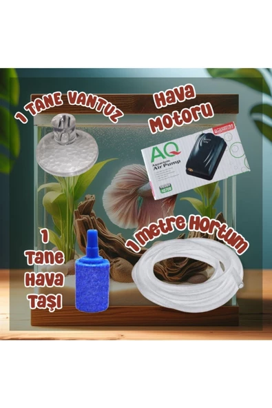 MDİZMİR Full Set Mini Akvaryum - Hava Motoru - Hava Taşı - Hortum - Vantuz Seti Tüm Renkler - 2
