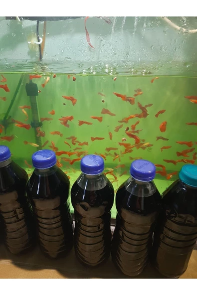 ABAR (101 ÇEŞİT MAĞAZASI)metilen Mavisi 500ml - Resim 2