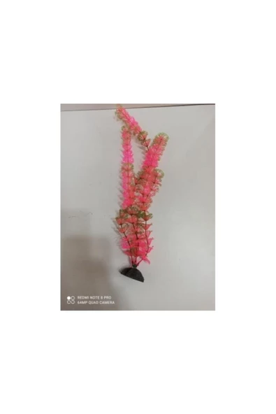 TROPİKAL Plastik Bitki 33 Cm Tilki Kuyruğu Pembe