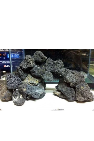 canlipetshop Dekoratif Doğal Lav Kaya Siyah (10x10) 8 Adet - 2