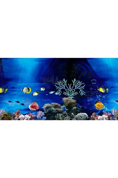 canlipetshop Arka Fon (Deniz Akvaryumu) 50 cm Uzunluk Yükseklik 60 Cm No:9081