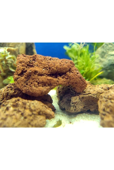 IdMuDecoration Lav Kayası 4 Adet 5-7 Cm - Akvaryum Dekor Kayası - Taşı - Resim 3