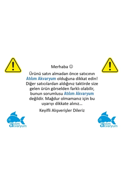 Atılım Akvaryum Bitki Akvaryumu Için Lav Kırığı Lav Taşı 2.5 Kg - Resim 3