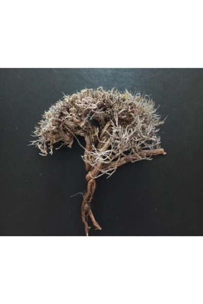 TROPİKAL Ağaç Görünümlü Akvaryum Süsü - Resim 2