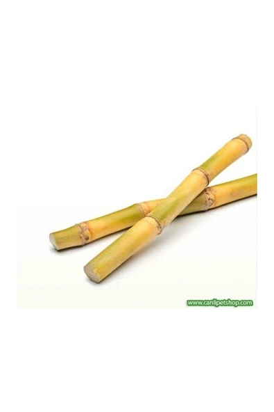 canlipetshop Y-karides Yuvası Ve Üretim Kamışı 5 Ad 8 Cm