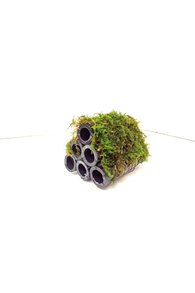 TROPİKAL Moss "tüpe Tutturulmuş Karides Yuvası Ve Üretim Tüpü 6 Lı" 1 Ad 10 Cm