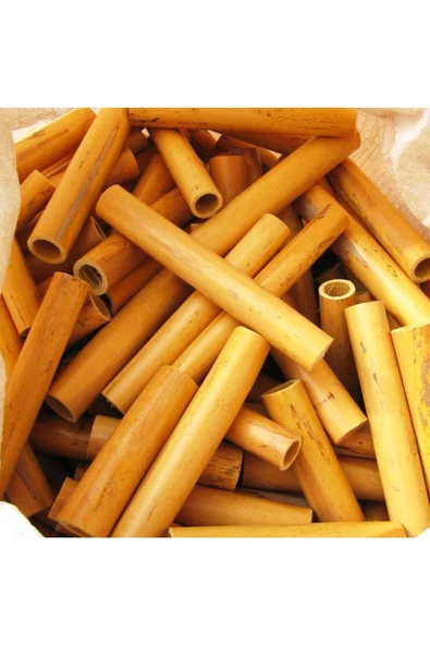 canlipetshop Y-karides Yuvası Ve Üretim Kamışı 5 Ad 8 Cm - 2