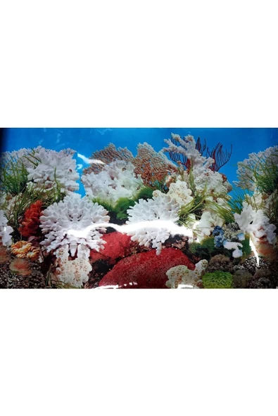 canlipetshop Arka Fon Mercan Görünümlü 50 Cm Uzunluk (YÜKSEKLİK 40 CM) No 9029