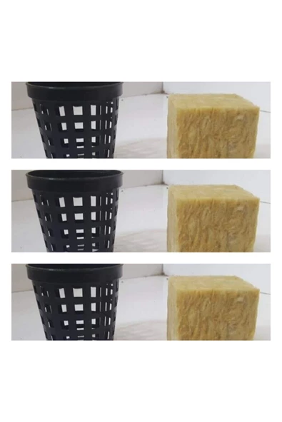 TROPİKAL Topraksız Ve Kumsuz Bitki Bakım Saksısı 3 Adet - Resim 2