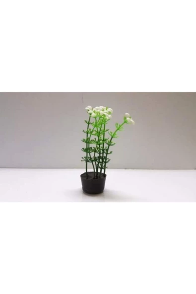 TROPİKAL Plastik Bitki 12 Cm Papatya