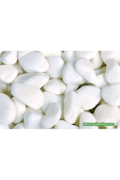 TROPİKAL Beyaz Orta Çakıl Kum 10 Mm 750 Gr