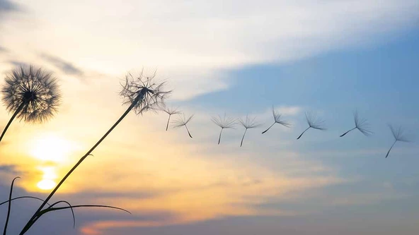 Gökyüzü ve Bulut Manzaralı Duvar Kağıdı - Resim 7