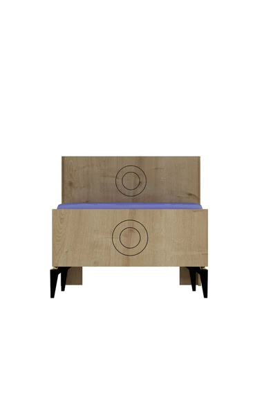 DemonteHome  VALENSDH TEK KİŞİLİK YATAK SAFİRMEŞE - Resim 5