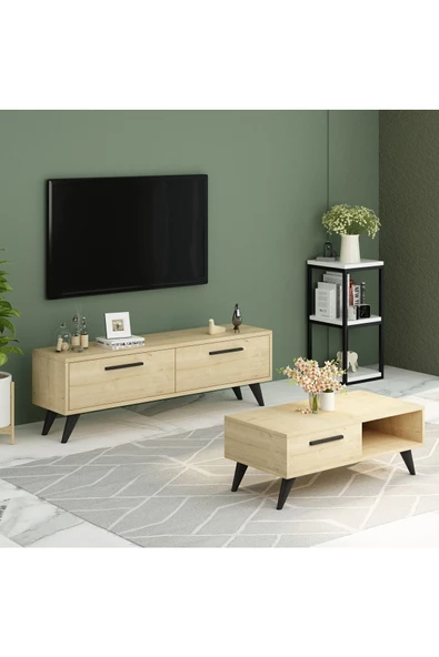 DemonteHome  MELİSADH ORTA SEHPA SAFİRMEŞE - 3