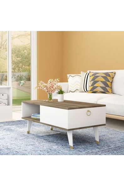 DemonteHome  DELUXDH BİR RAFLI ORTA SEHPA CEVİZ BEYAZ