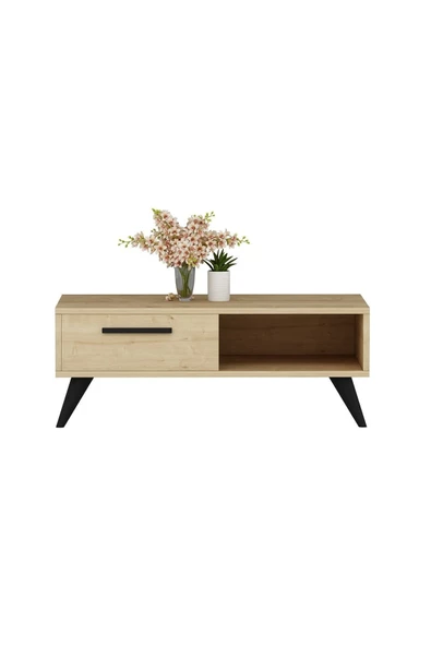 DemonteHome  MELİSADH ORTA SEHPA SAFİRMEŞE - 4