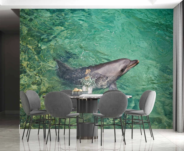 Deniz ve Yunus Balığı Temalı Duvar Kağıdı - Resim 4