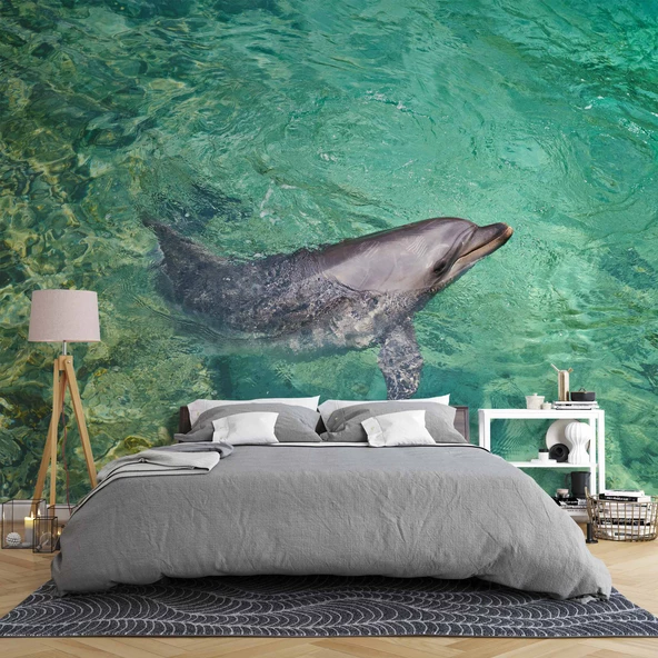 Deniz ve Yunus Balığı Temalı Duvar Kağıdı - Resim 2