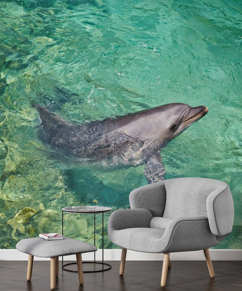 Deniz ve Yunus Balığı Temalı Duvar Kağıdı - Resim 5