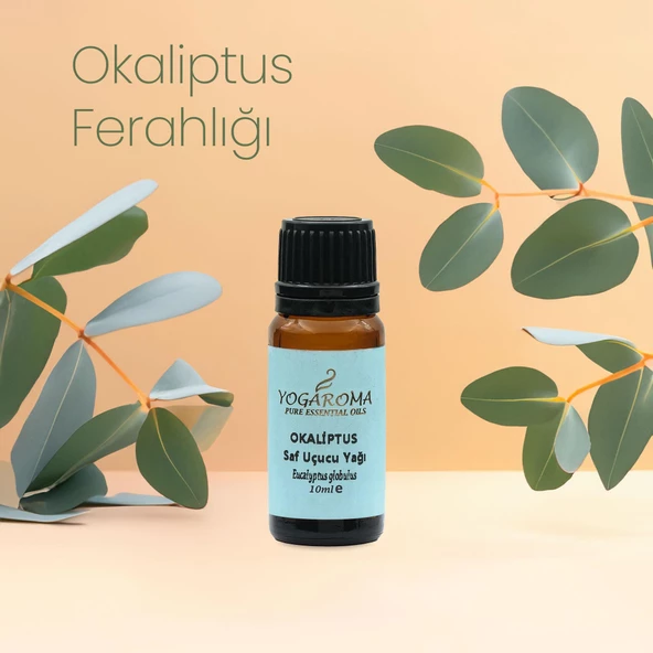 NPO Yogaroma Derin Nefes Ferahlatıcı Aromaterapi Saf ve Doğal Okaliptus Uçucu Yağ - 8