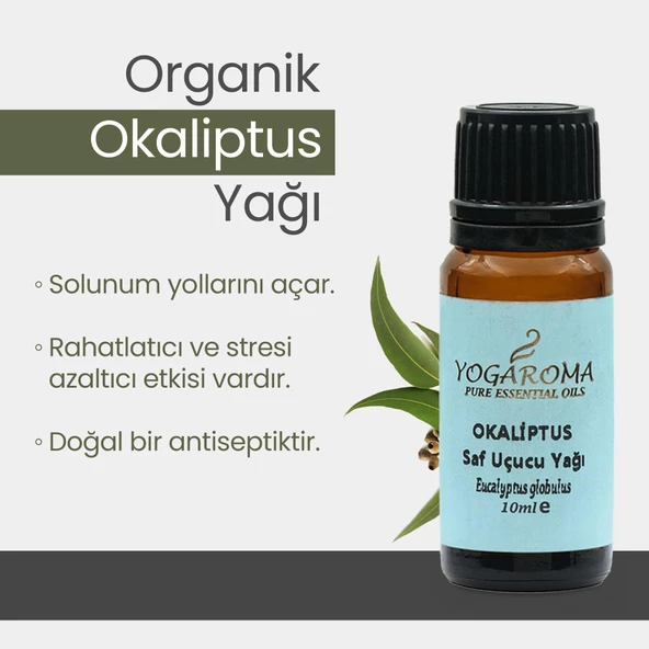 NPO Yogaroma Derin Nefes Ferahlatıcı Aromaterapi Saf ve Doğal Okaliptus Uçucu Yağ - 7