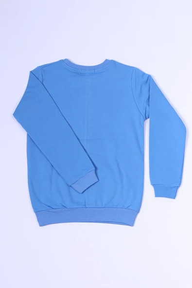 ERKEK ÇOCUK SWEAT DİNOZOR BASKILI RİBANALI C54 - 4