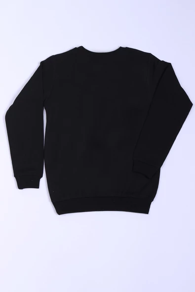 ERKEK ÇOCUK SWEAT DİNOZOR BASKILI RİBANALI C54 - 2