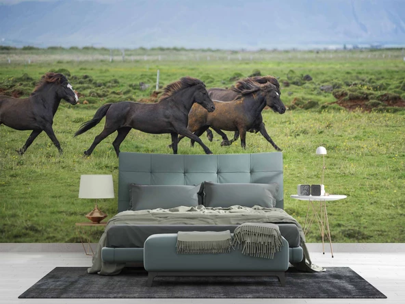 Kırsal ve At Manzaralı Duvar Kağıdı - Resim 2