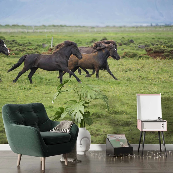 Kırsal ve At Manzaralı Duvar Kağıdı - Resim 6