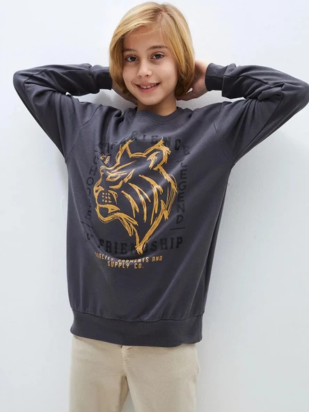 Aslan Desenli Erkek Çocuk Sweatshirt - Resim 2