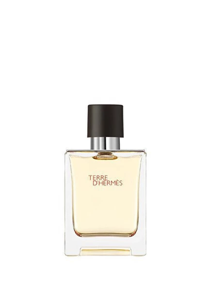 Hermes Terre D'Hermes EDT 50 ml Erkek Parfümü - Resim 2