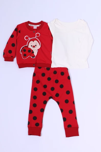 BEBEK 3`LÜ TAKIM BASKILI ÇITÇITLI RİBANALI C56 - 2