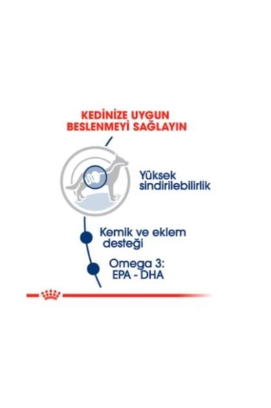 Royal Canin Maxi Adult Yetişkin Köpek Yaş Maması 140gr - 4